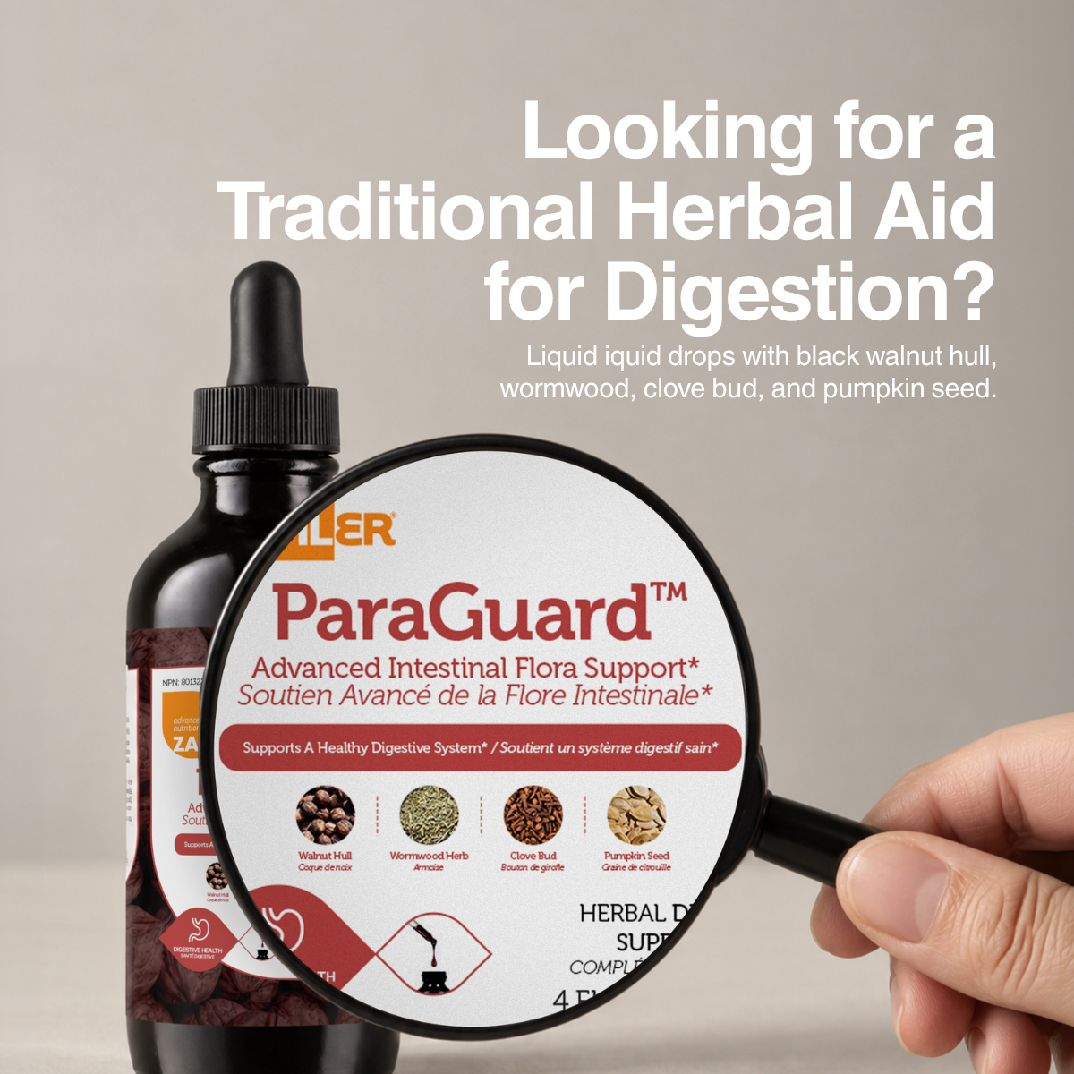Zahler ParaGuard™ Liquid - Advanced Intestinal Flora Support | 118mL